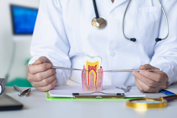 Best Emergency Treatment for Dental Infections or Abscesses in Eastwood, MI